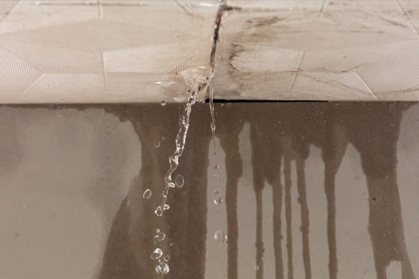 Professional Water Damage Repair technician working in Ranburne, AL